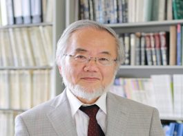 Нобелевскую премию получил ученый рассказавший про аутофагию клеток