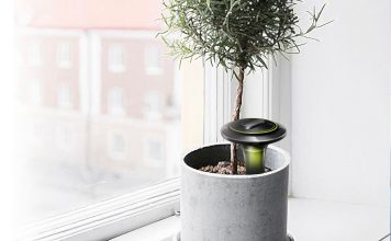 Разработано устройства для автоматического полива цветов