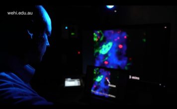 Ученые выяснили, что клетки рака весьма сообразительные