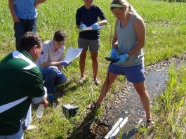 Ученые создают прибор для поиска ГМО-воды