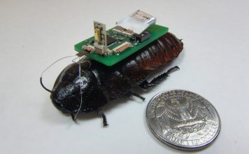 Ученые выяснили как использовать насекомых в шпионаже