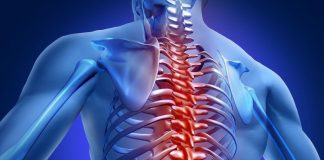 Позвоночник