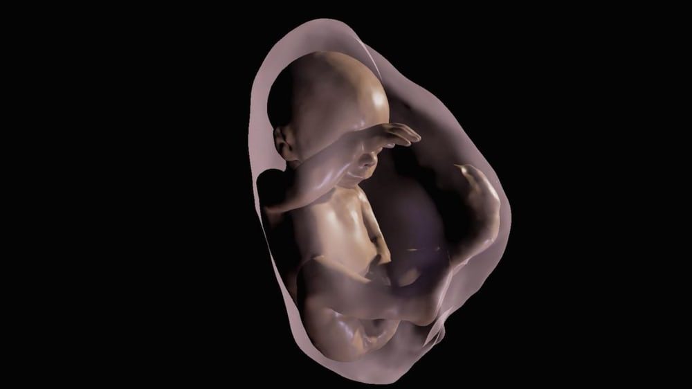 Ученые создали виртуальный "тур" по анатомии ребенка