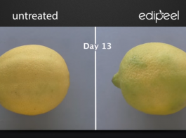 Разработано органическое покрытие для овощей и фруктов