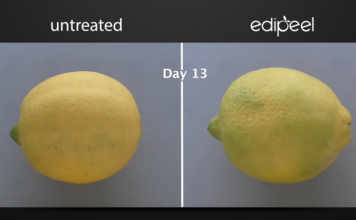 Разработано органическое покрытие для овощей и фруктов