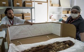 Ученые приступят к новым опытам над старейшими мумиями