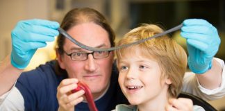 Из графена создали супер-чувствительный датчик