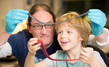 Из графена создали супер-чувствительный датчик