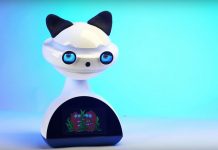 Представлен двуязычный робот-учитель EMYS