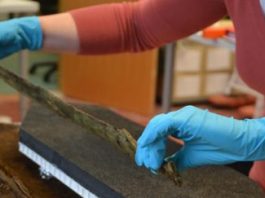 В Шотландии нашли древний меч, инкрустированный золотом