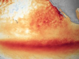 Ученые нашли причину временного замедления глобального потепления