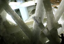Ученые оживили уникальных микробов возрастом 50 тысяч лет