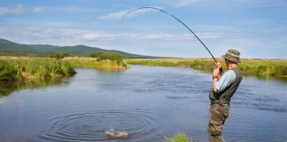 Рыбная ловля