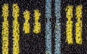 Ученые близки к созданию искусственной жизни