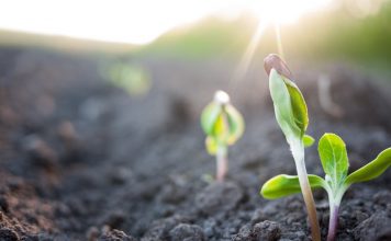В Кембридже разработали новый экологичный способ производства водорода