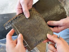 Ученые создали экологичные покрышки с добавлением пищевых отходов