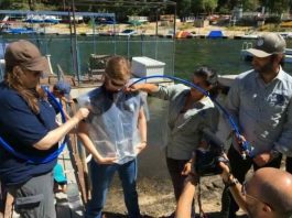 Разработан специальный жилет для транспортировки воды