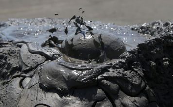 Ученые обнаружили следы неизвестных форм жизни