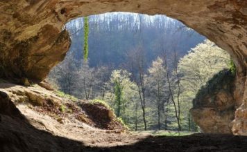 Ученые изобрели революционный метод извлечения ДНК древних людей