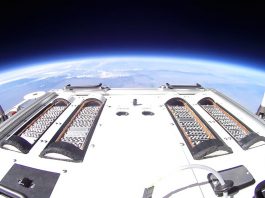 Обнаружены бактерии способные выжить на Марсе