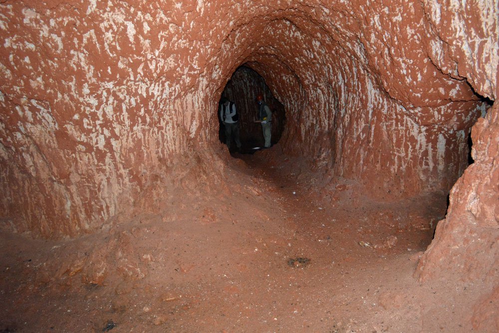 Ученые выяснили, что гигантские тоннели в Бразилии были вырыты гигантскими ленивцами