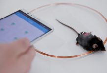 Благодаря китайским ученым смартфон может регулировать уровень инсулина