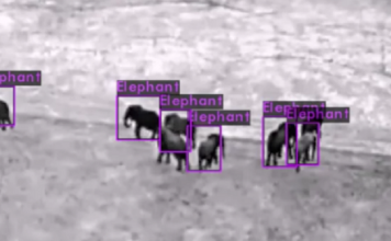 Дроны помогут защитить слонов и носорогов от браконьеров