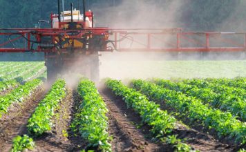 Гербициды для удачного и крупного посева! Гербициды