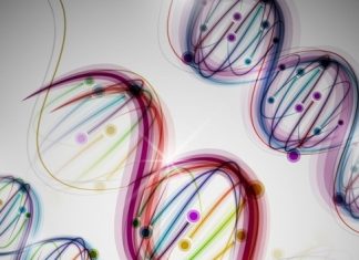 Психогенетика