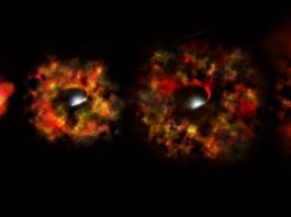 Астрономы наблюдали превращение звезды в черную дыру