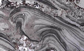 Жизнь на суше появилась на сотни миллионов лет раньше