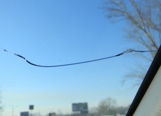 Как остановить трещину на лобовом стекле Трещина