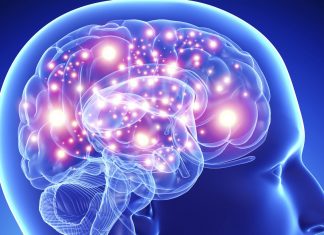 Ученые разработали новый способ стимуляции мозга