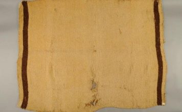 В музее Сиэтла обнаружили одеяло из меха вымершего вида собаки