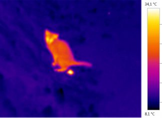 Тепловизоры