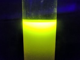 Био-инженер создал зеленое светящееся пиво используя редактирование генов