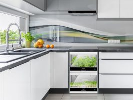 Теперь домашнюю ферму можно встроить в кухонный гарнитур