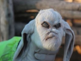 В Аргентине родился козленок с «лицом демона»