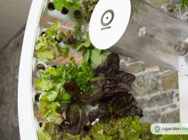 В продаже появилось колесо для выращивания домашних продуктов