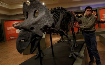 Из-за убившего динозавров астероида два года продолжалась «ядерная зима»