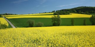 Биотопливо