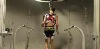 Экзоскелет