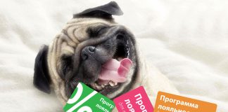 программа лояльности