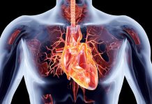 Ученые разработали новый метод лечения сердечной недостаточности