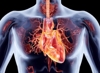 Ученые разработали новый метод лечения сердечной недостаточности