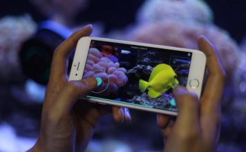 Создан автономный робот для аквариумных рыбок