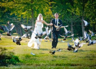 Качественные услуги свадебного видеооператора!