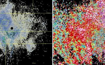 Погодный спутник зафиксировал огромное пятно мигрирующих бабочек
