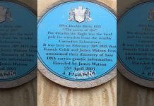 Неизвестные напомнили о вкладе женщины в открытие ДНК