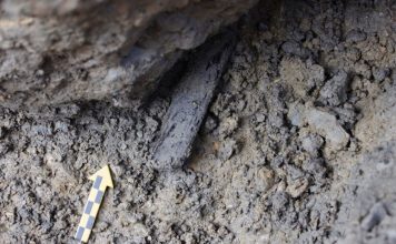 В Альпах нашли артефакты возрастом 4000 лет